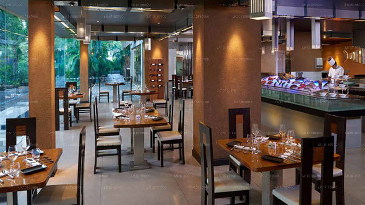 Testhotel, Colombo