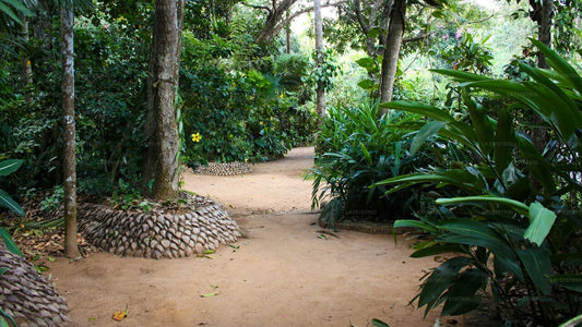 Paramount 200 Gewürzgarten, Matale
