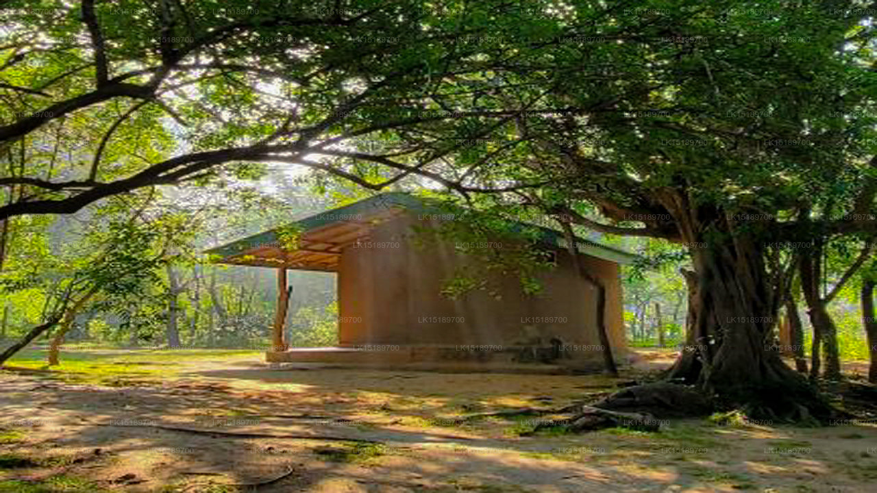 Lehmhüttendorf, Polonnaruwa 