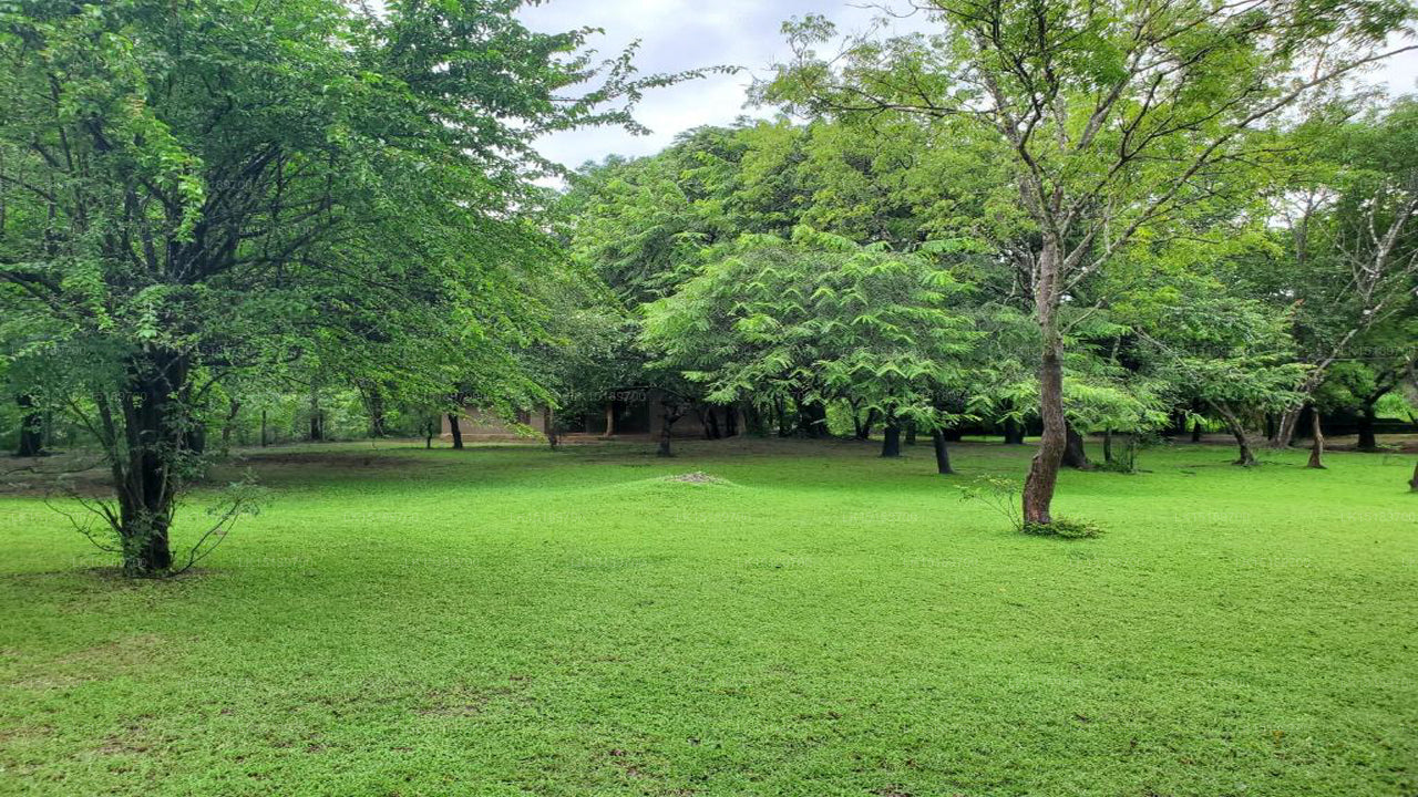 Lehmhüttendorf, Polonnaruwa 