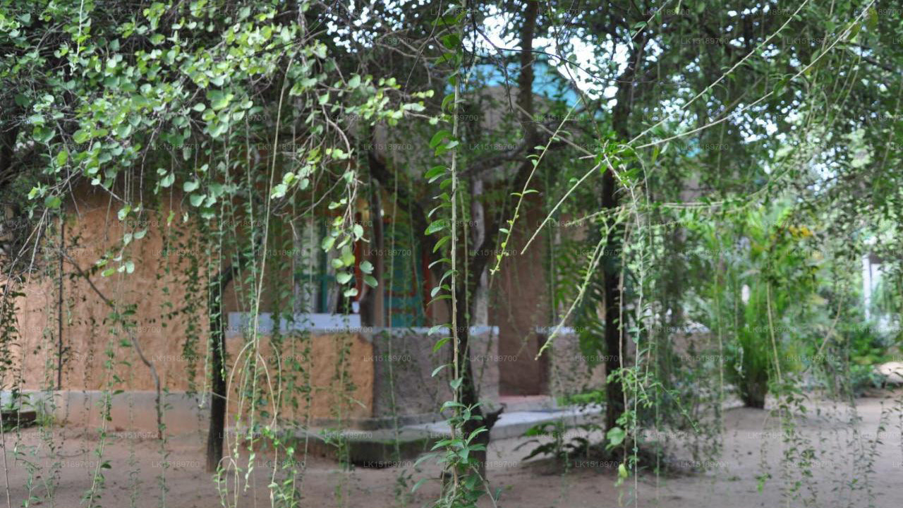 Lehmhüttendorf, Polonnaruwa 