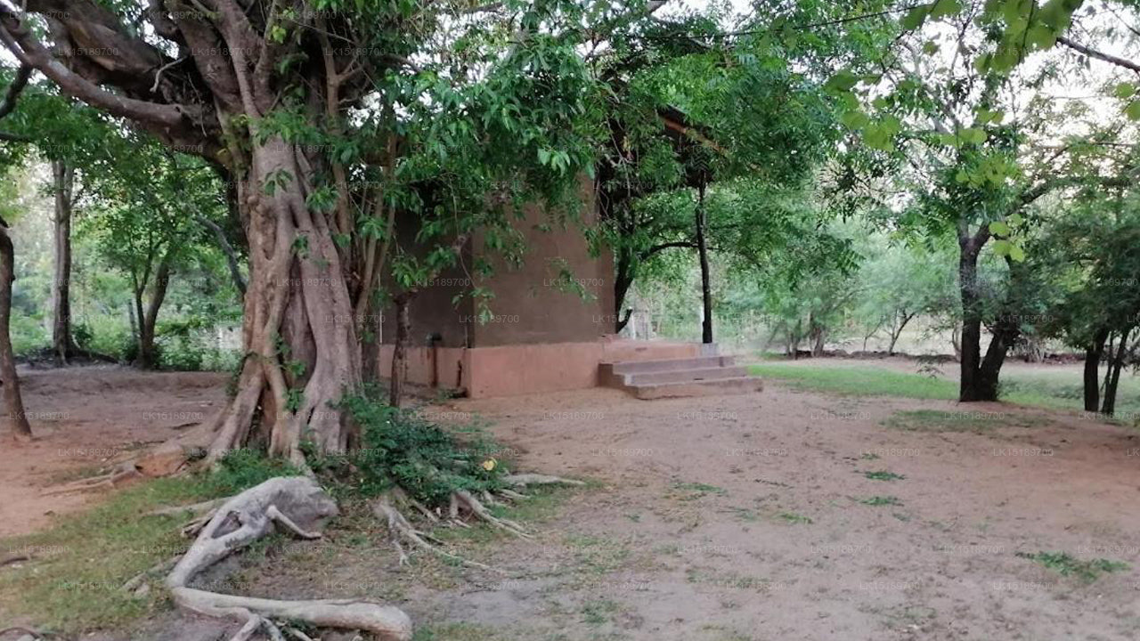 Lehmhüttendorf, Polonnaruwa 