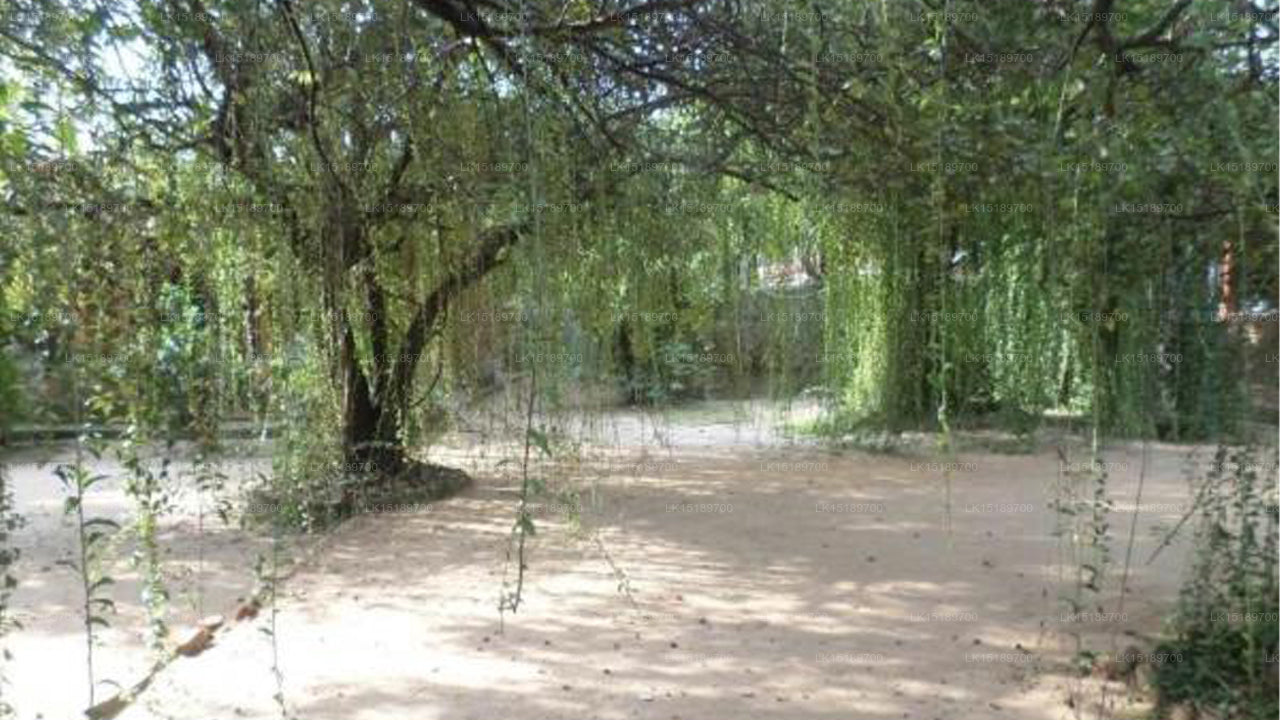 Lehmhüttendorf, Polonnaruwa 