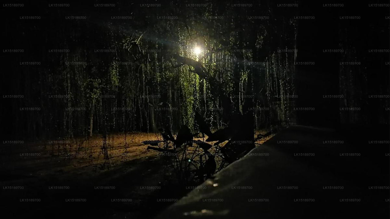 Lehmhüttendorf, Polonnaruwa 