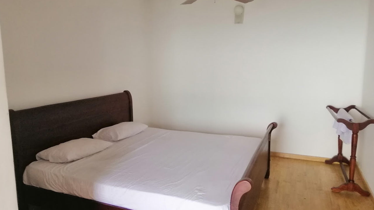Palmblätter, Jaffna
