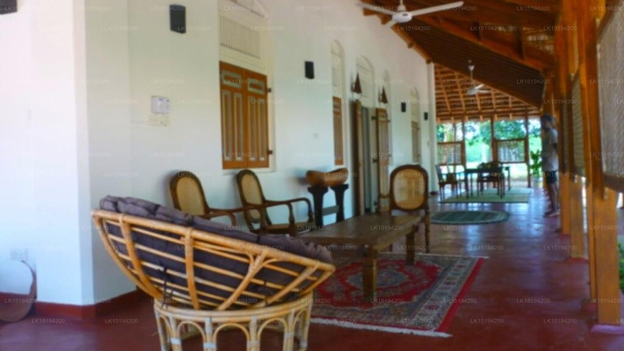 Der Hain, Puttalam