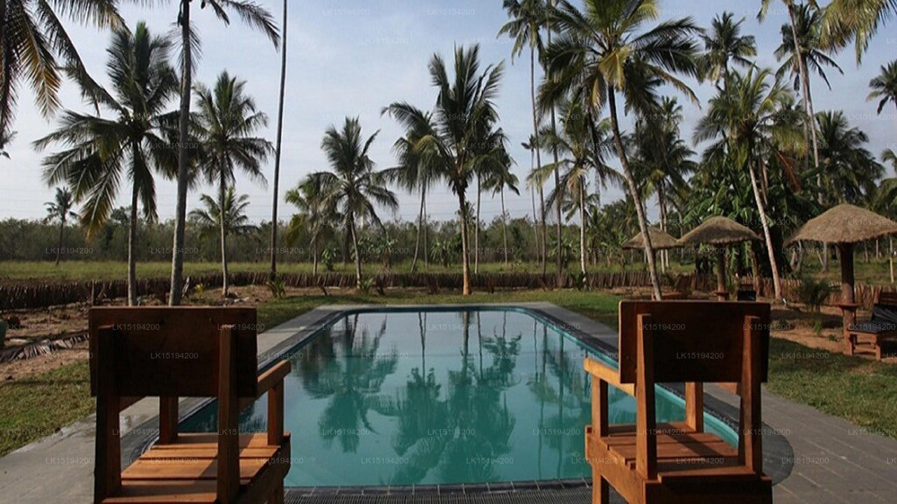 Der Hain, Puttalam