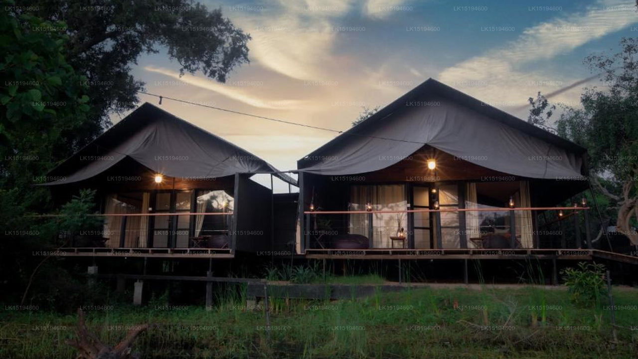 Leopardenpfade, Yala