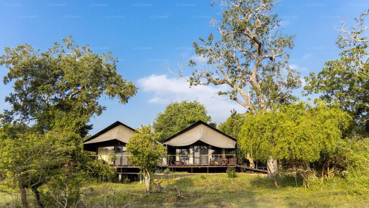 Leopardenpfade, Yala