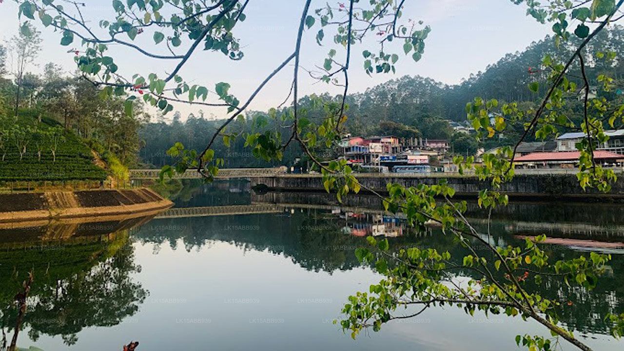 Scenery River Side Öko-Resort