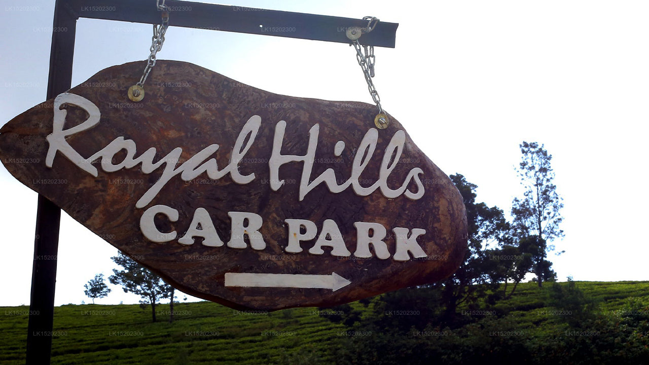 Hotel Royal Hills, Nuwara Eliya 