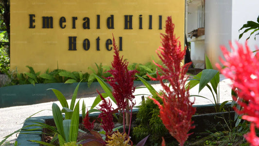 Emerald Hill Hotel, Kandy 