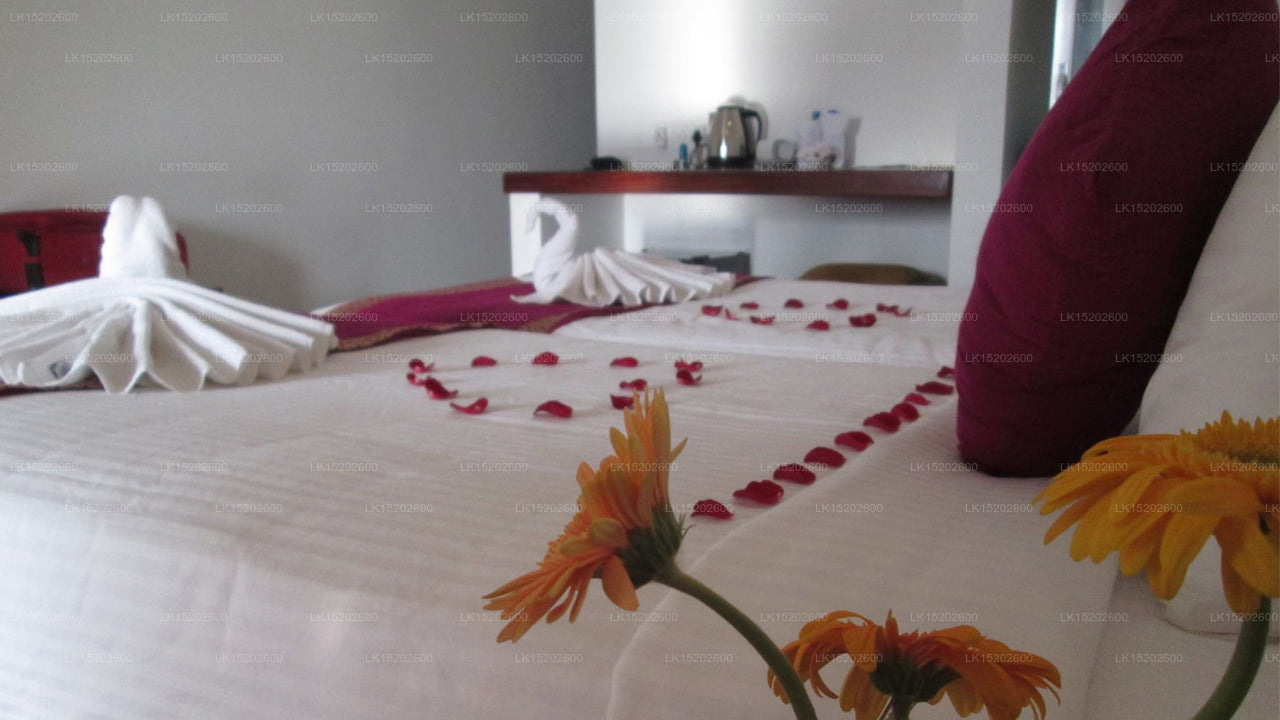 Emerald Hill Hotel, Kandy 