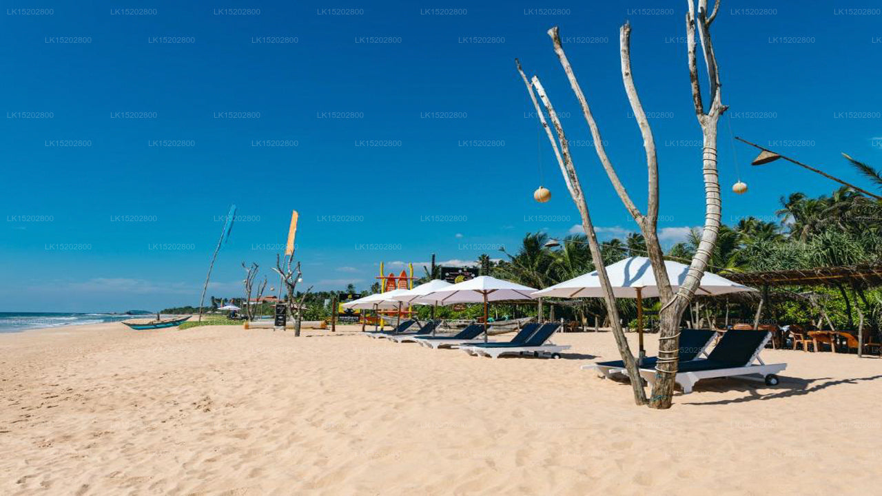 Amal Beach Hotel, Bentota 