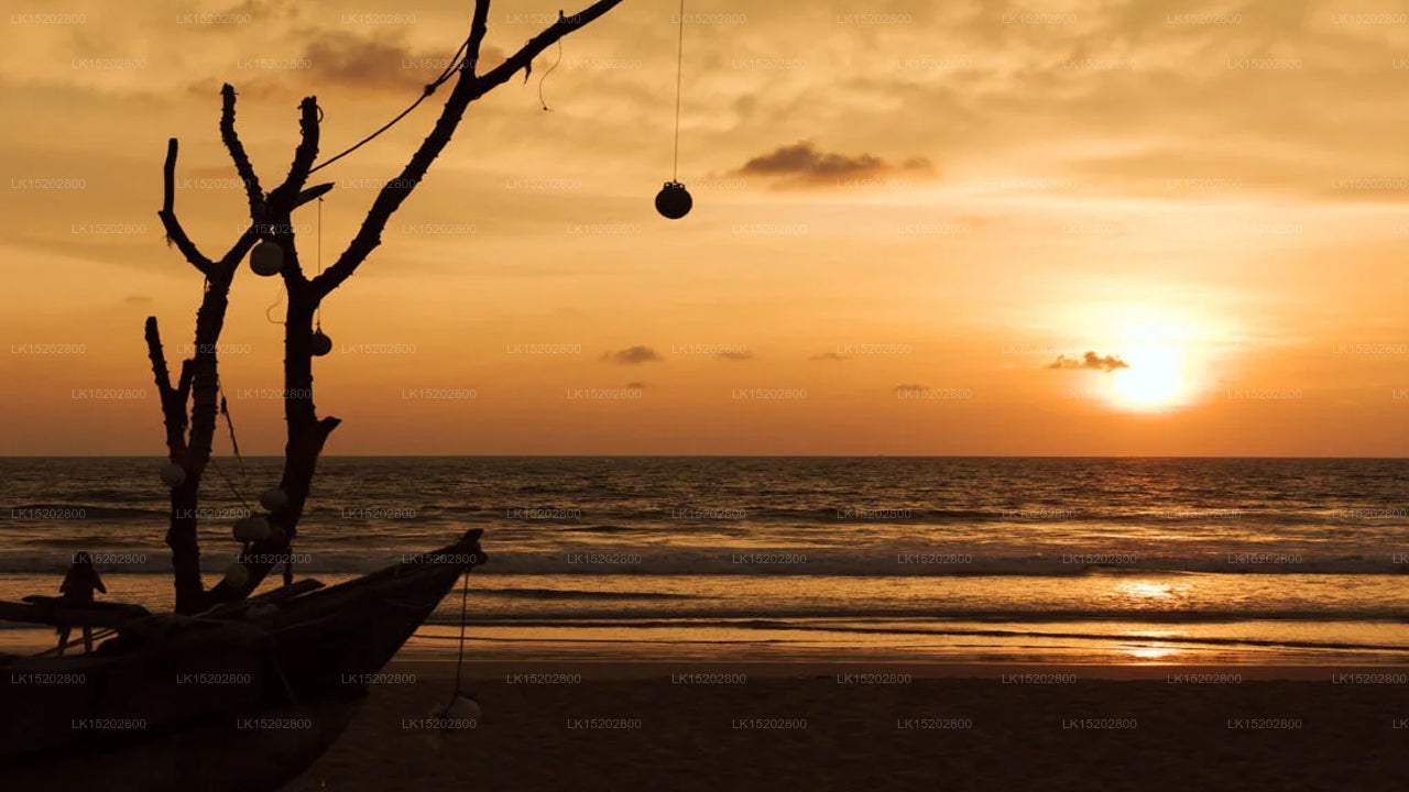 Amal Beach Hotel, Bentota 