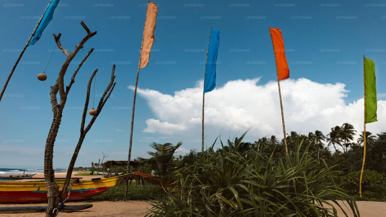 Amal Beach Hotel, Bentota 