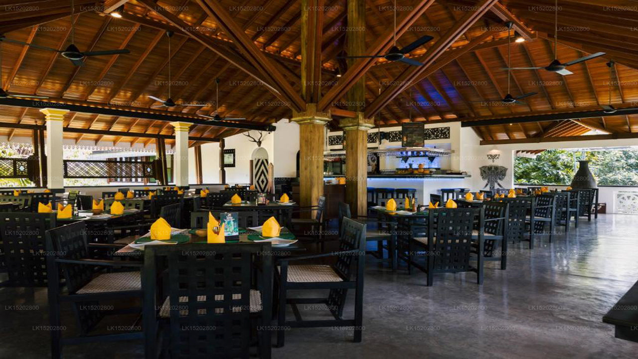Amal Beach Hotel, Bentota 