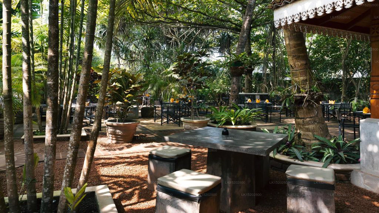 Amal Beach Hotel, Bentota 