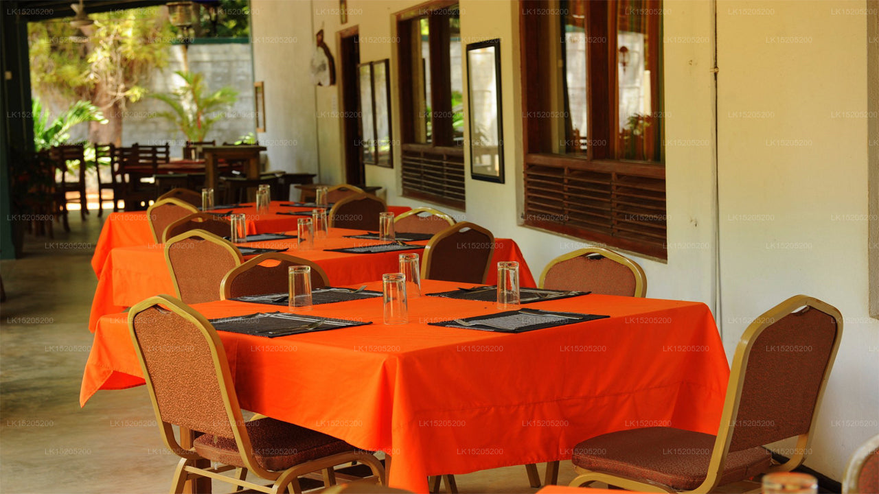 Hotel Leopard Den, Wilpattu 