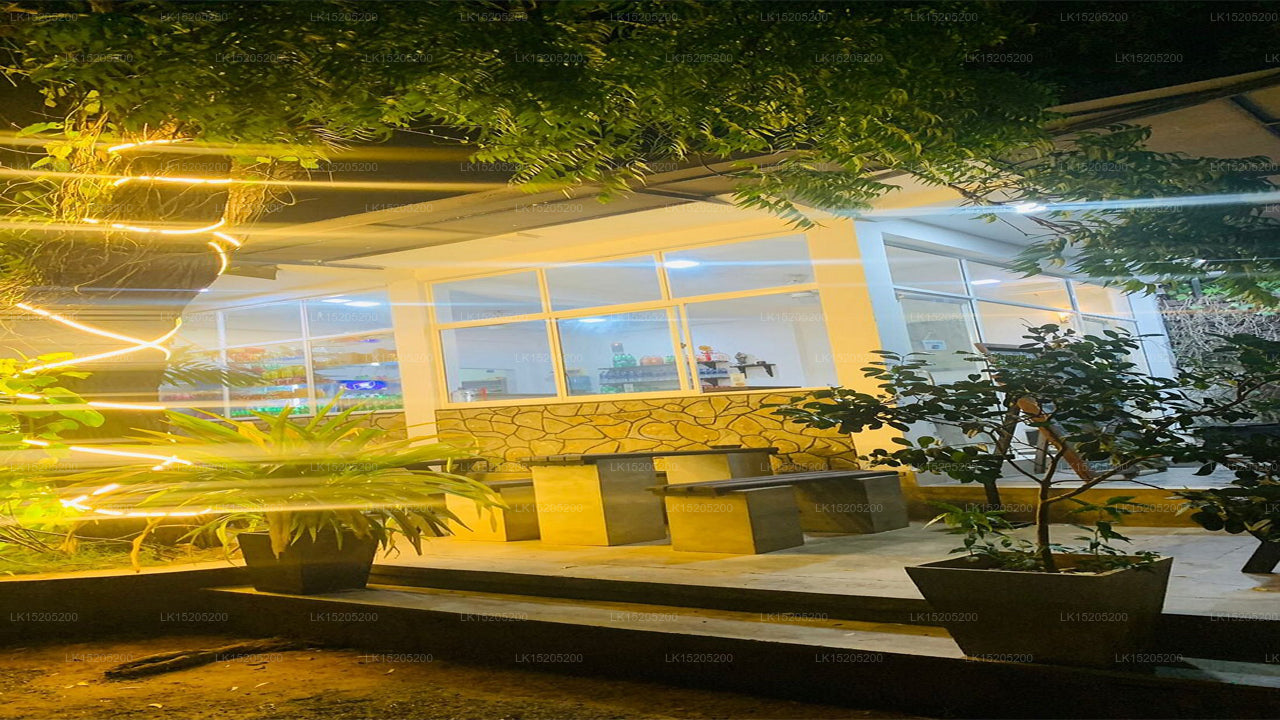 Hotel Leopard Den, Wilpattu 