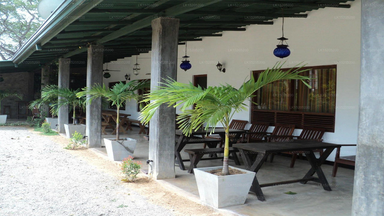 Hotel Leopard Den, Wilpattu 