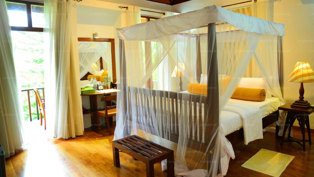 Tropischer Rückzugsort, Galle 
