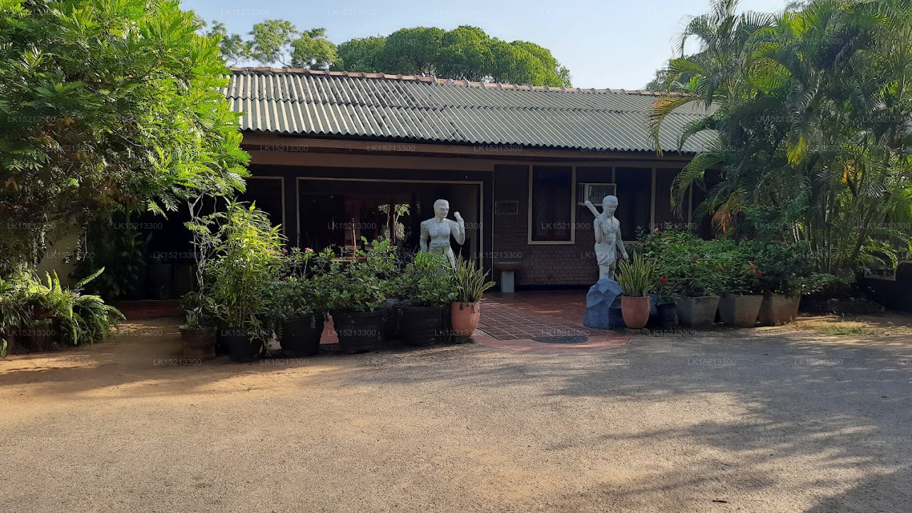 Das Dorf, Polonnaruwa