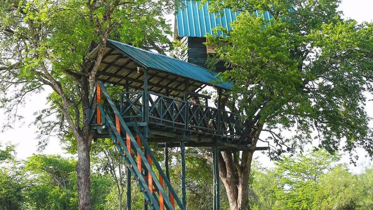 Bestlife Eco Resort, Hambantota 