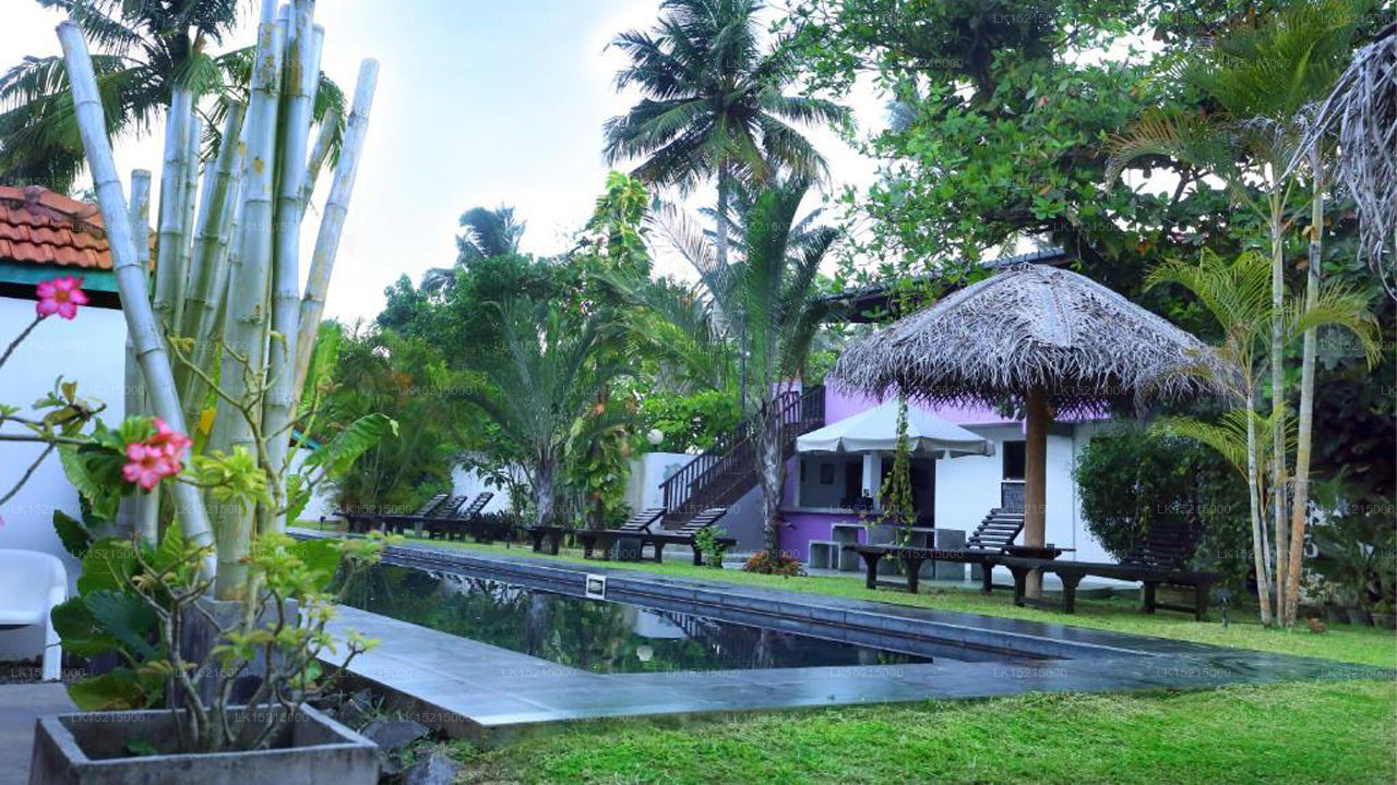 Turtle Eco Beach, Matara