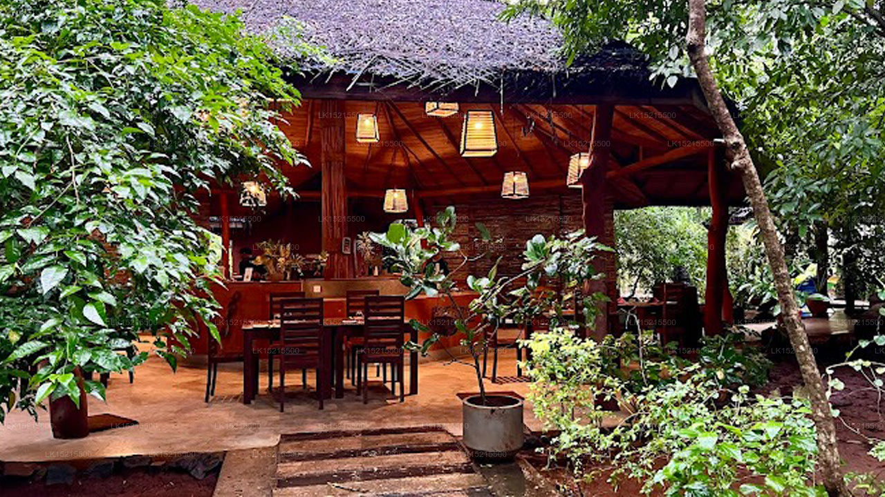 Kuwera Eco Lodge, Sigiriya 