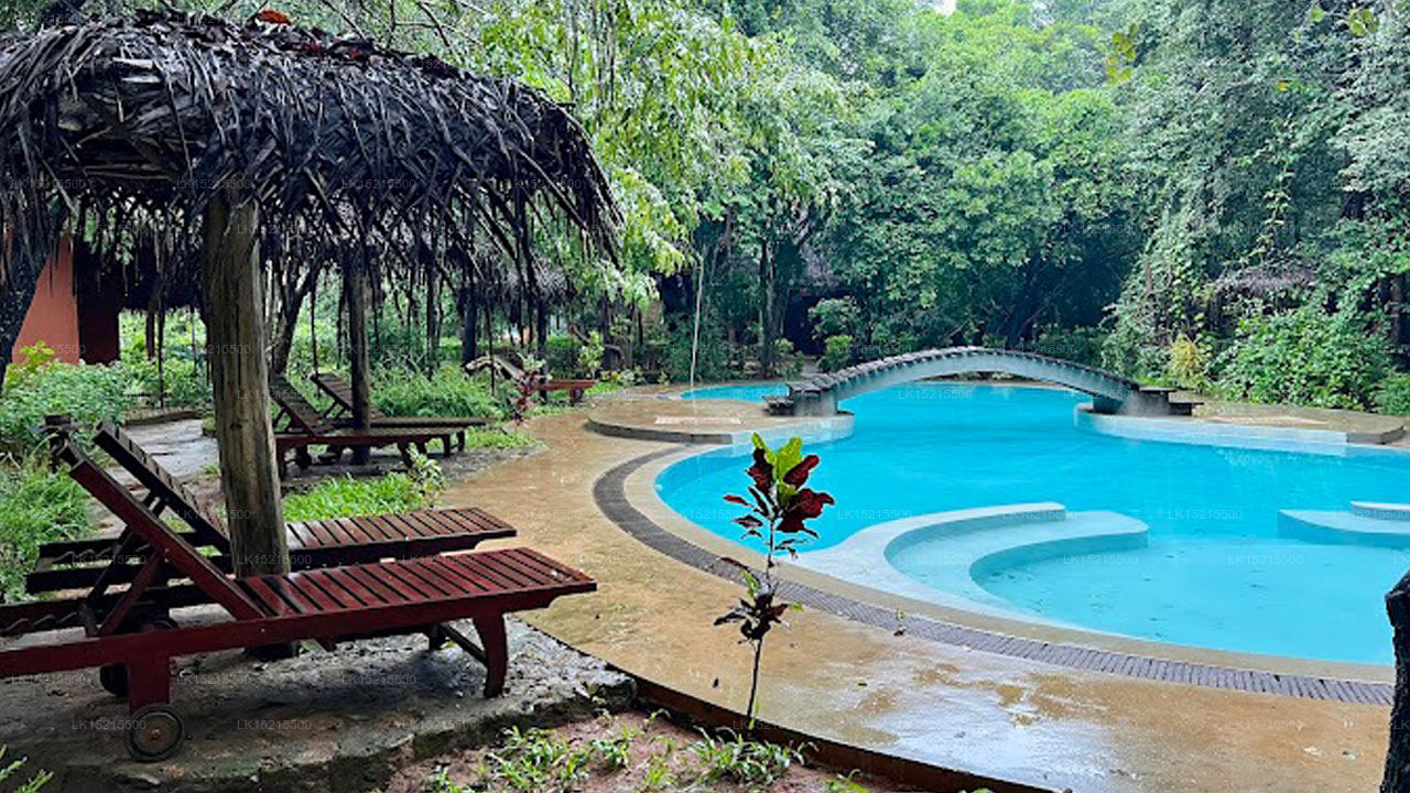 Kuwera Eco Lodge, Sigiriya 
