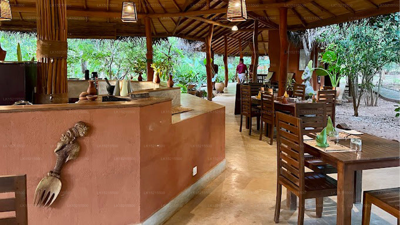Kuwera Eco Lodge, Sigiriya 
