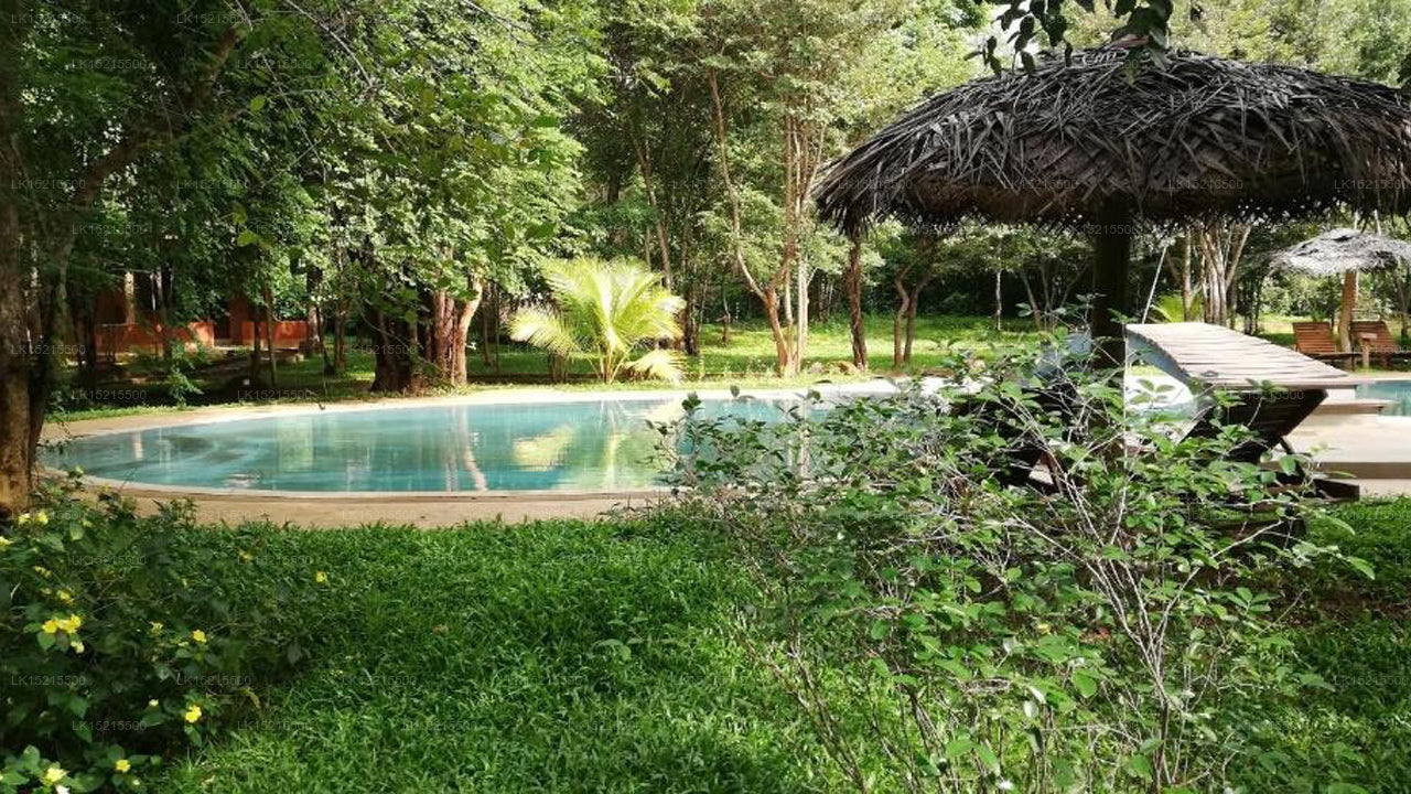 Kuwera Eco Lodge, Sigiriya 