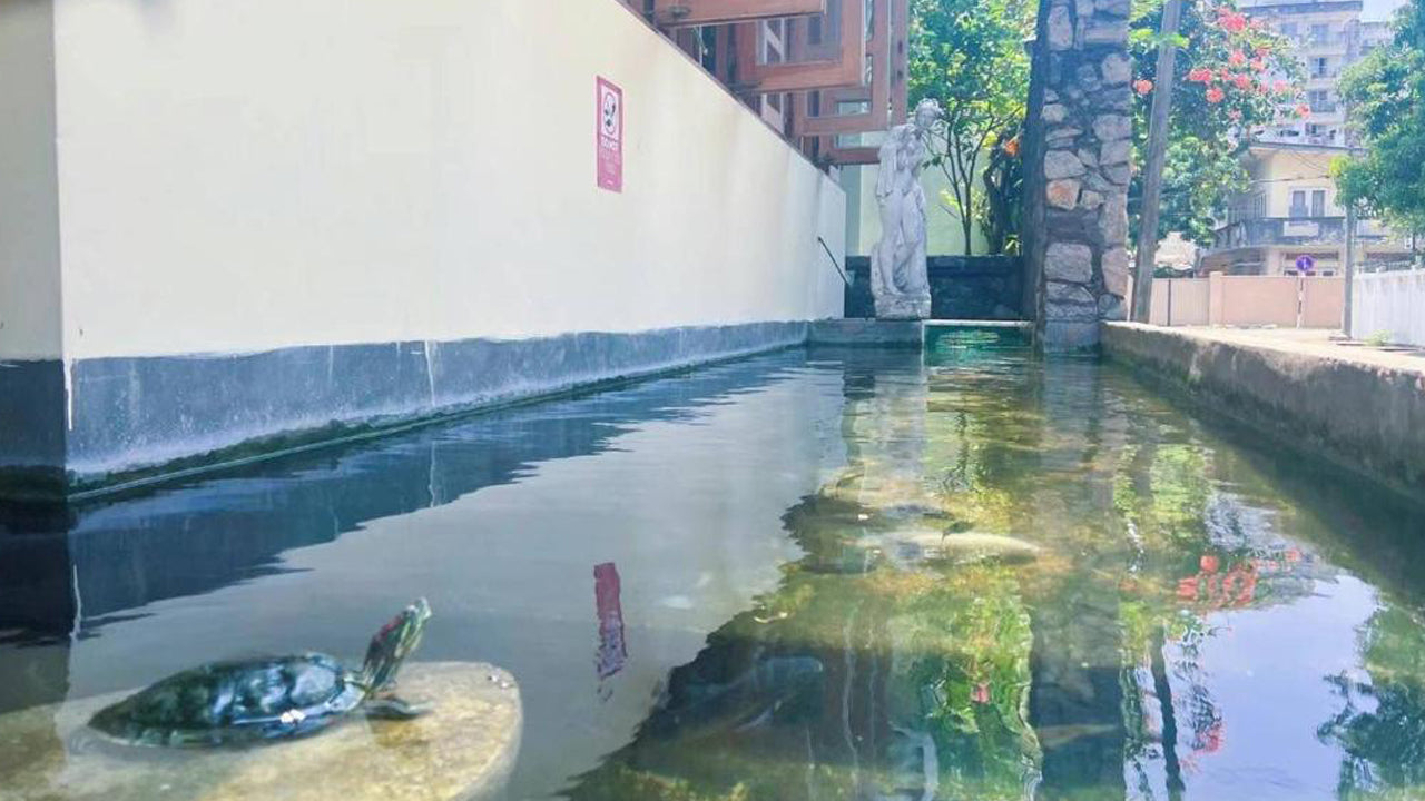 Lafala Hotel &amp; Service Apartment