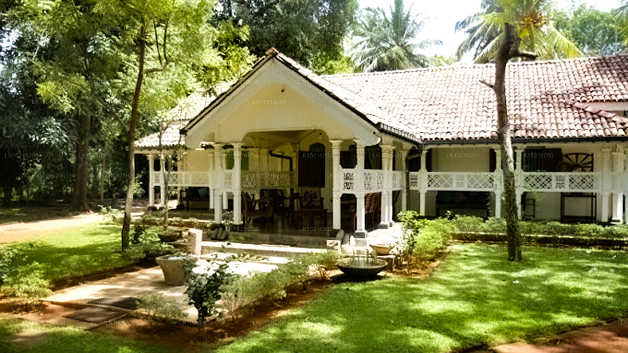 Cadjan heilig, Anuradhapura 