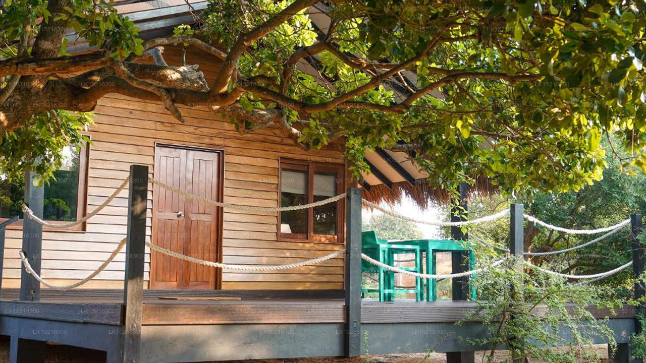 Jetwing-Zeltvillen, Yala 