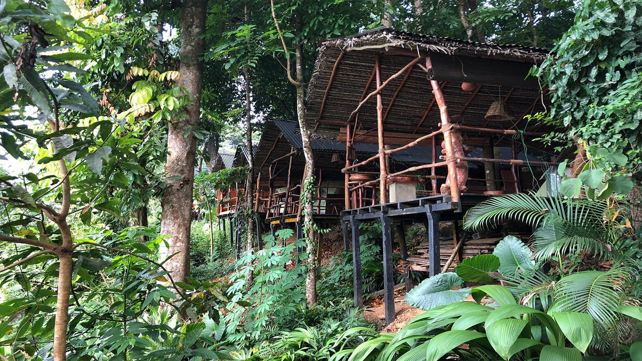Borderlands Adventure Eco Lodge, Kitulgala