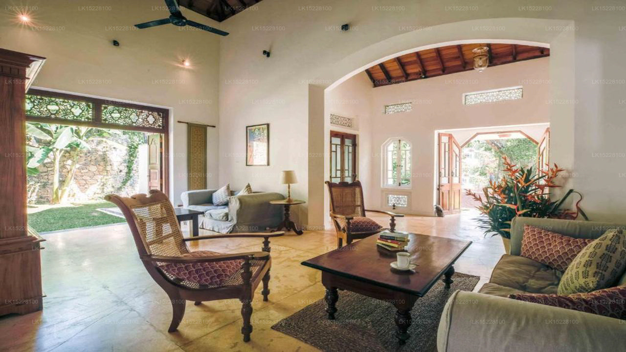 Kokosnusshain, Galle 