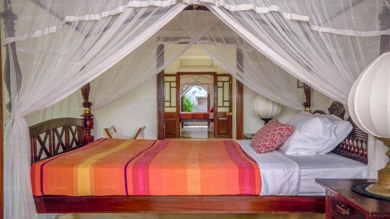Kokosnusshain, Galle 