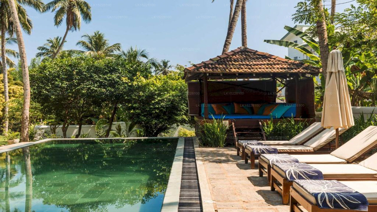 Kokosnusshain, Galle 