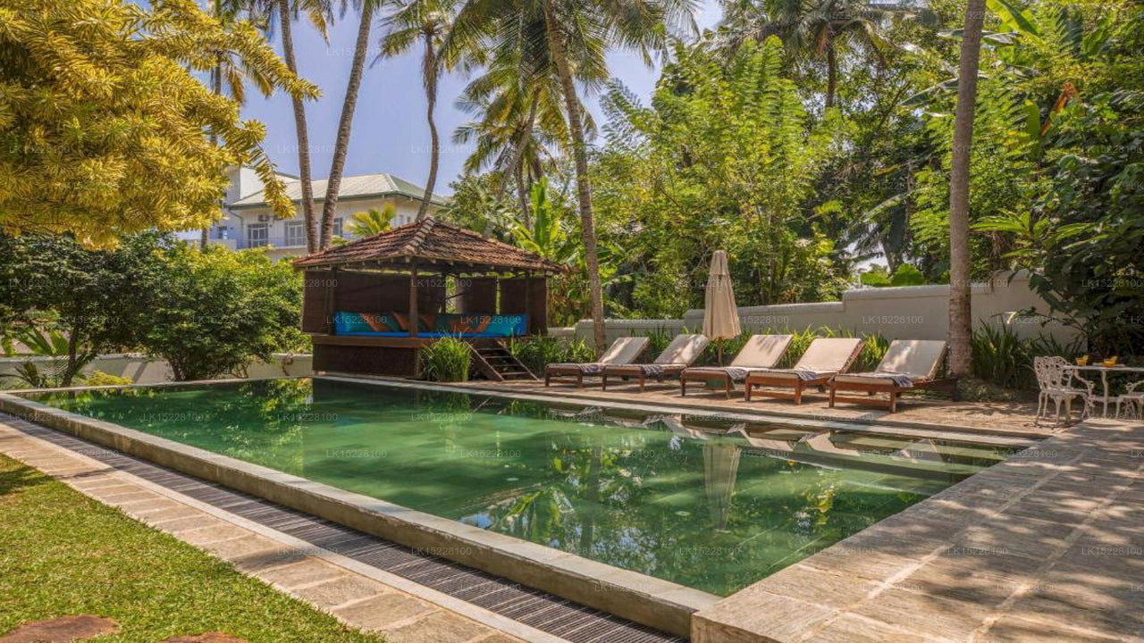 Kokosnusshain, Galle 