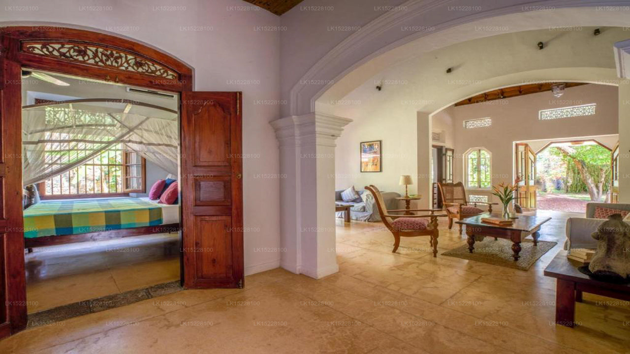 Kokosnusshain, Galle 