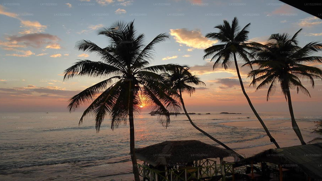 Himmel sieben, Hikkaduwa 