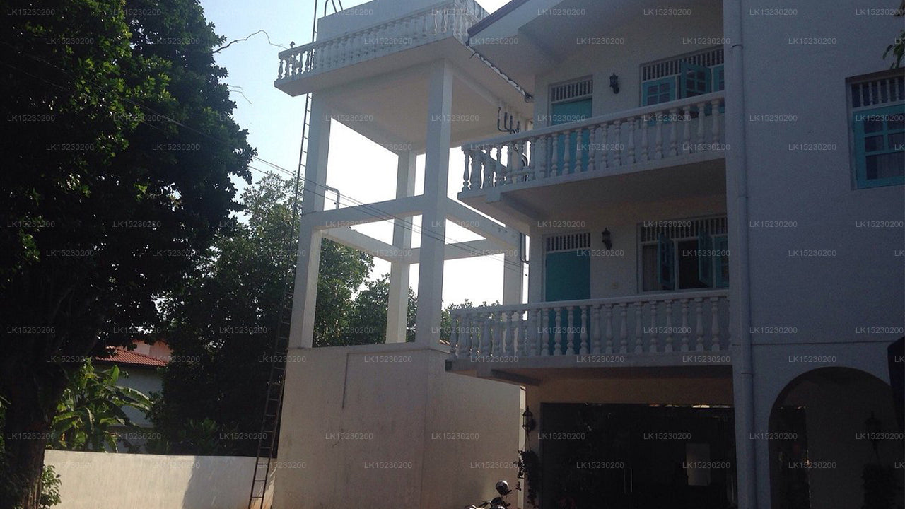 Flussufer Araliya, Bentota