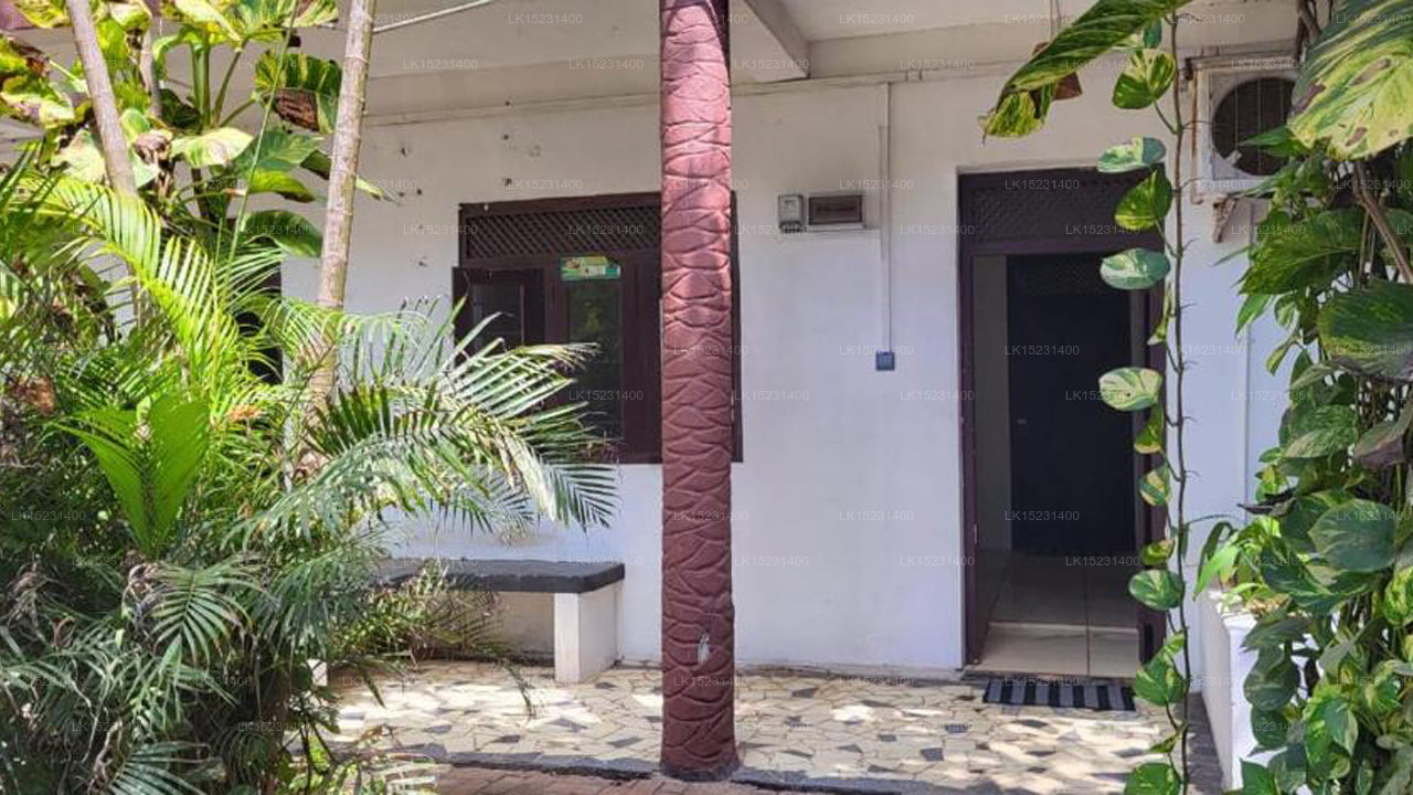 Das Arugam Hostel, Arugam Bay