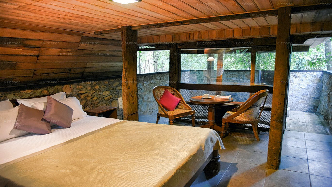 Diyabubula, das Barberyn Art &amp; Jungle Hideaway, Dambulla