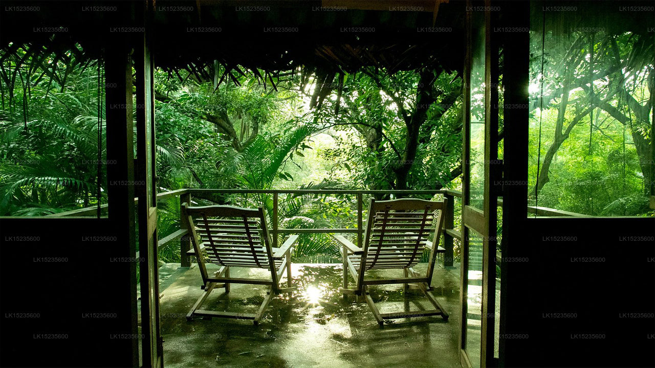Diyabubula, das Barberyn Art &amp; Jungle Hideaway, Dambulla