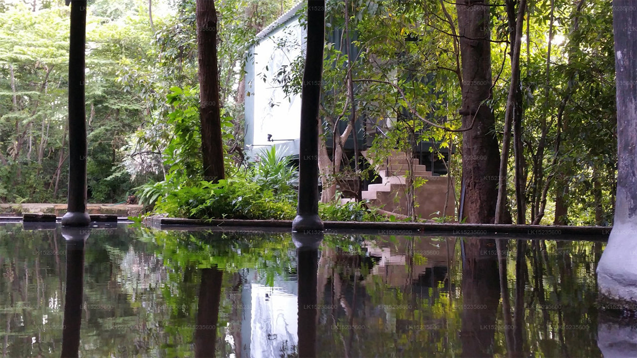 Diyabubula, das Barberyn Art &amp; Jungle Hideaway, Dambulla