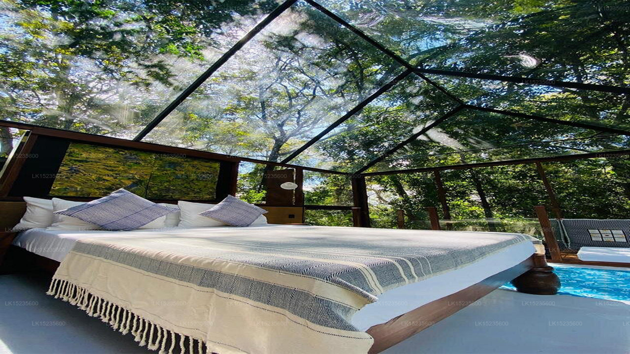 Diyabubula, das Barberyn Art &amp; Jungle Hideaway, Dambulla