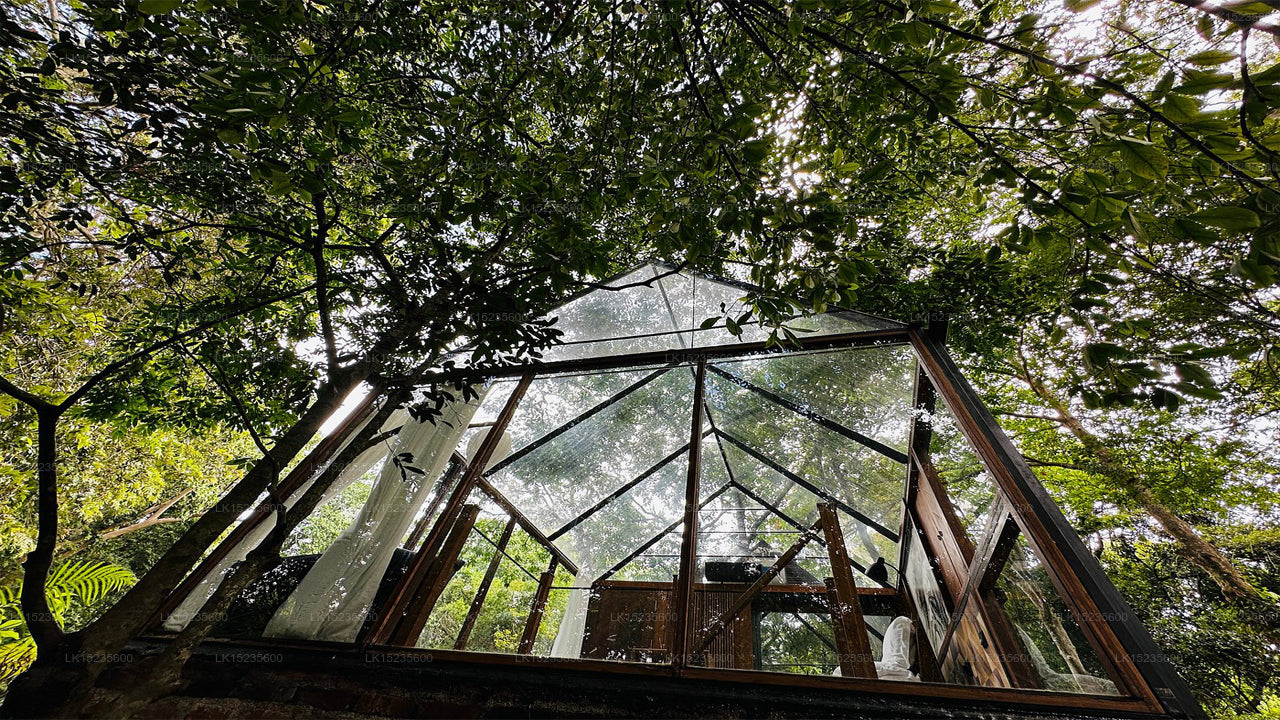 Diyabubula, das Barberyn Art &amp; Jungle Hideaway, Dambulla